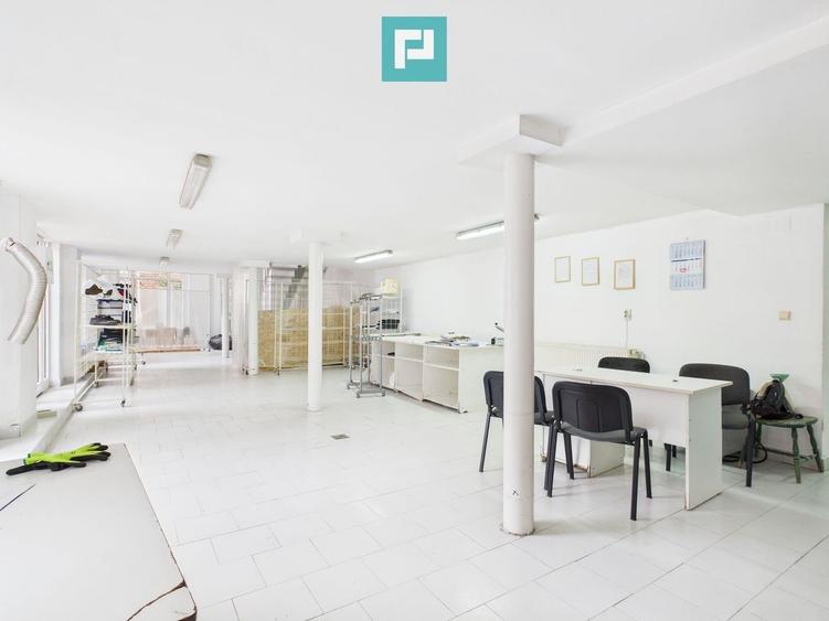 Spațiu comercial, de 480 mp, în Elisabetin