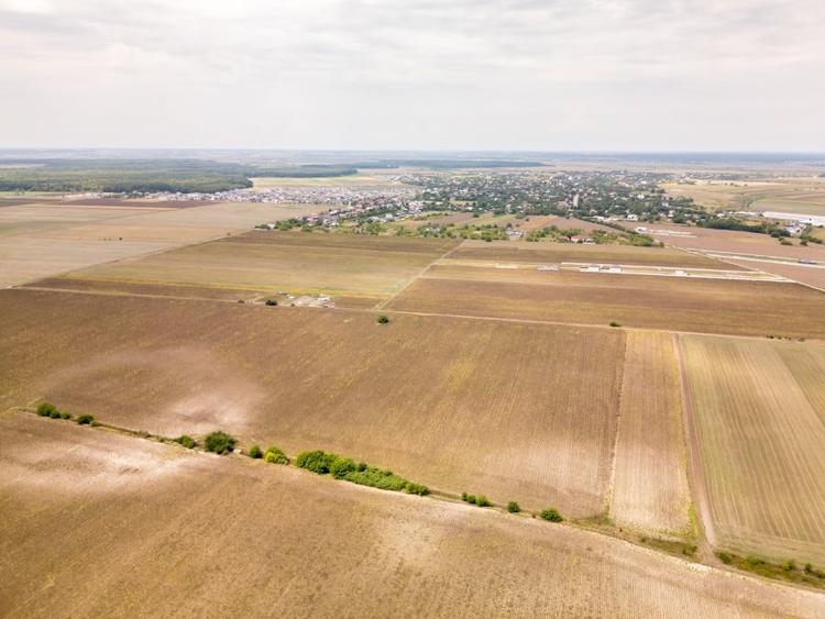 Teren Construcții intravilan de 11332 mp, în Dascălu