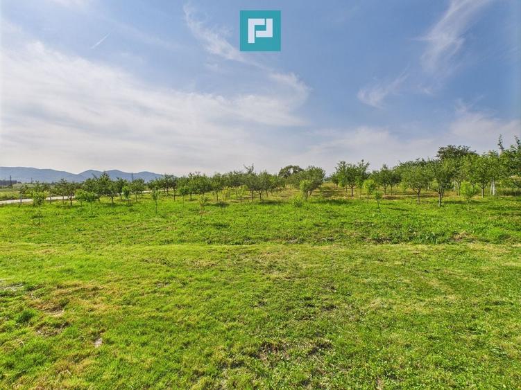 Casă individuală cu 2 camere cu Teren 4707 Mp în Hălmăgel