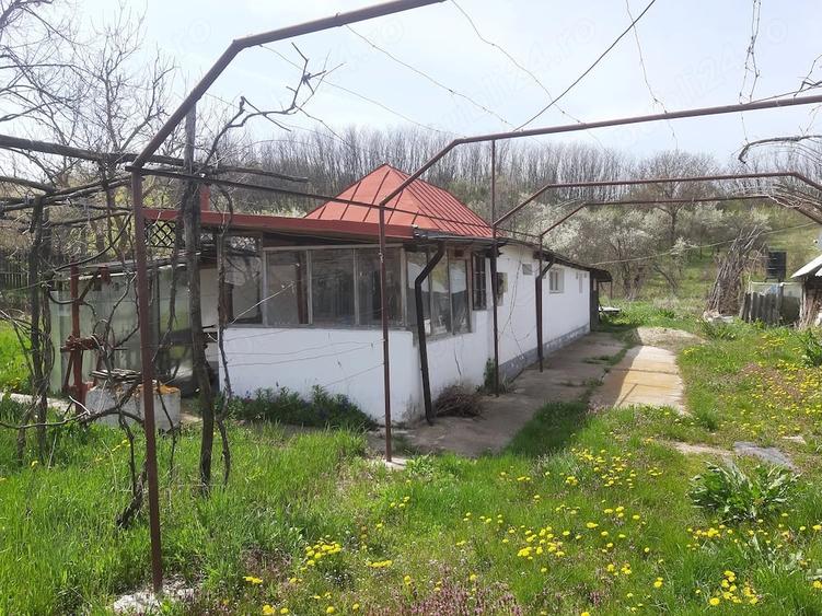 Casa si curte 1800m2 zona Colonesti, Olt tel. - 1