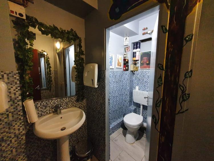 Spatiu Comercial I De I Gradina Icoanei - 9