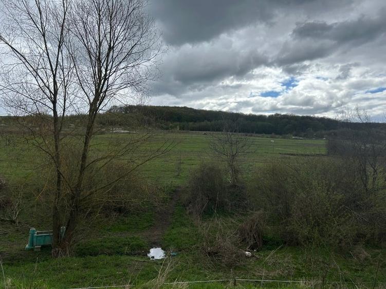 Teren Construcții intravilan de 2300 mp, în Bozeni