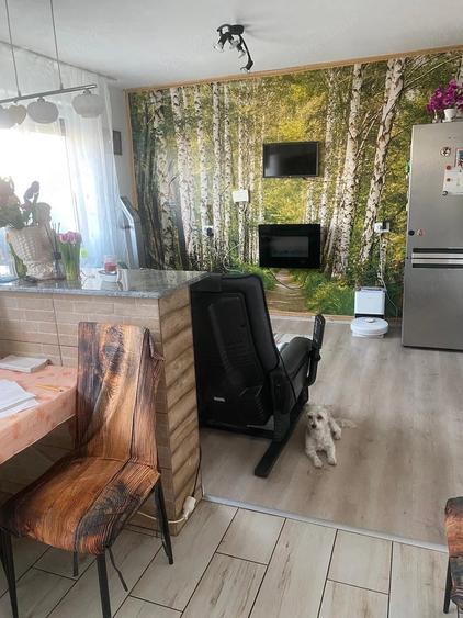 Casă cu 4 camere cu Teren 300 Mp în Livada
