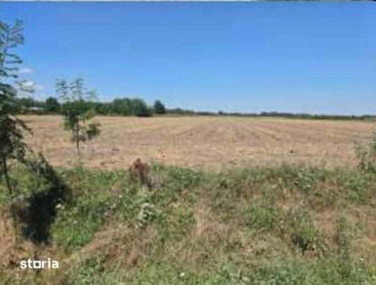 Teren de 1500 mp, în Bârla