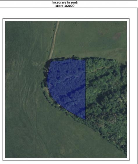 Teren de 15314 mp, în Ghindăoani