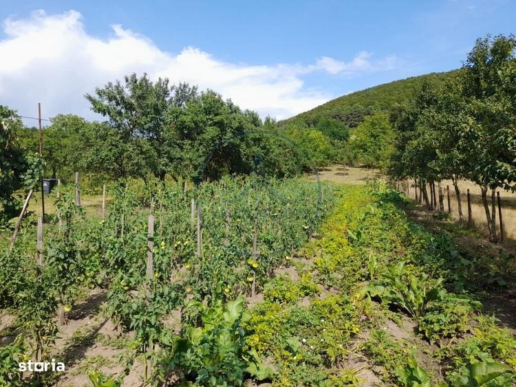 Casă cu 3 camere în Șieu