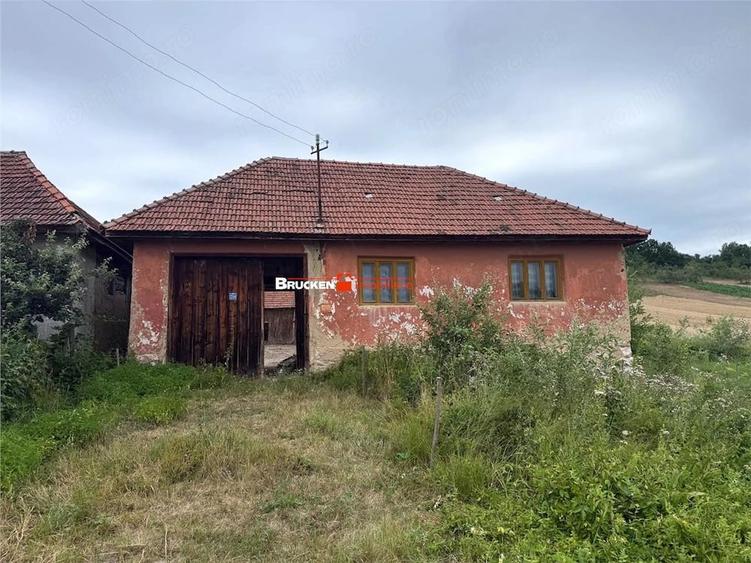 Teren de 60000 mp, în Beiușele