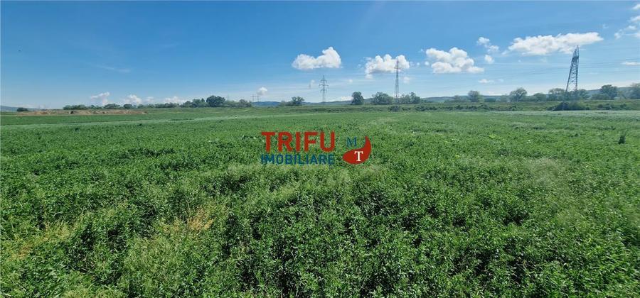 Teren agricol extravilan de 5000 mp, în Ampoi 1