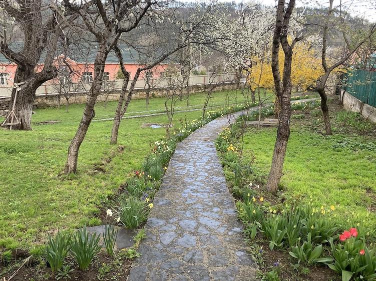 Casă cu Teren 1100 Mp în Central