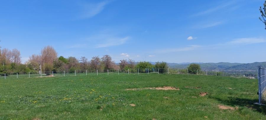 Teren Construcții intravilan de 9900 mp, în Mușcel