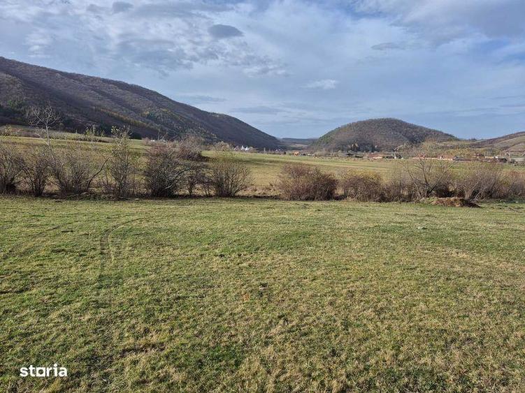 Teren de 1500 mp, în Orlat