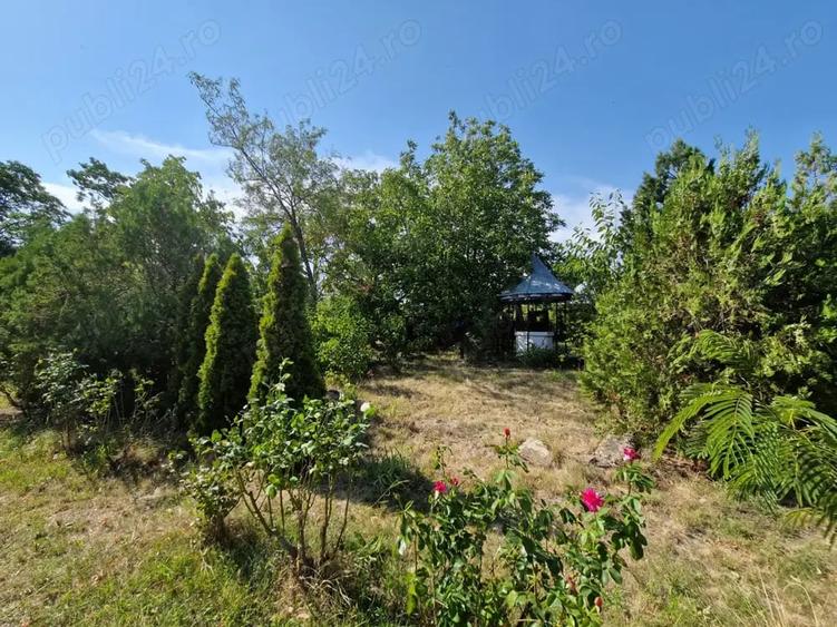Casă cu 6 camere cu Teren 3000 Mp în Ruginești