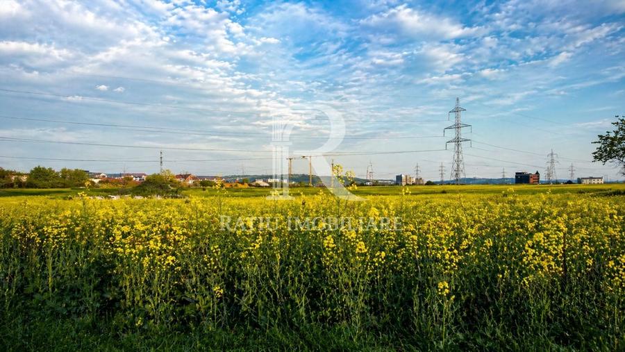 Teren Construcții intravilan de 28933 mp, în Nufărul