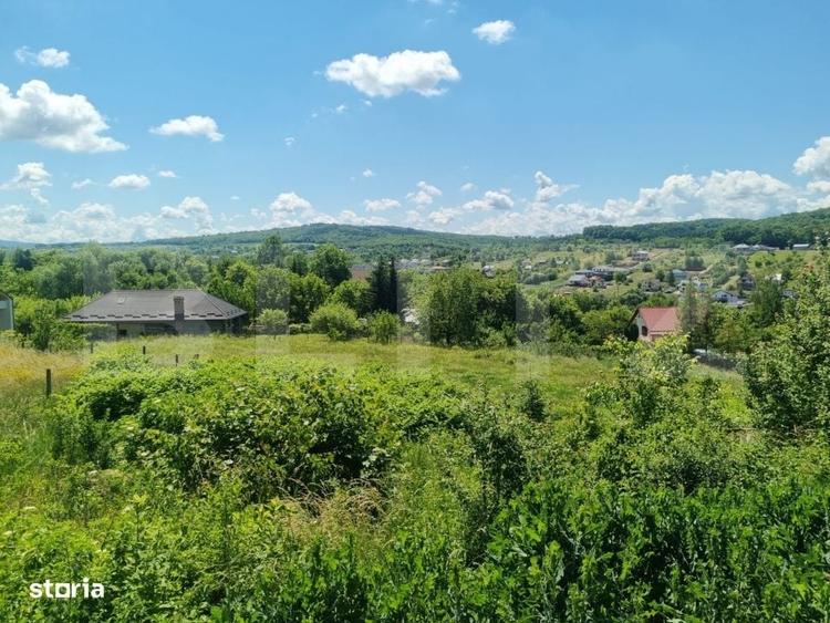 Teren intravilan 30 ari, strada cu utilitati si asfalt, posibilitate - 1
