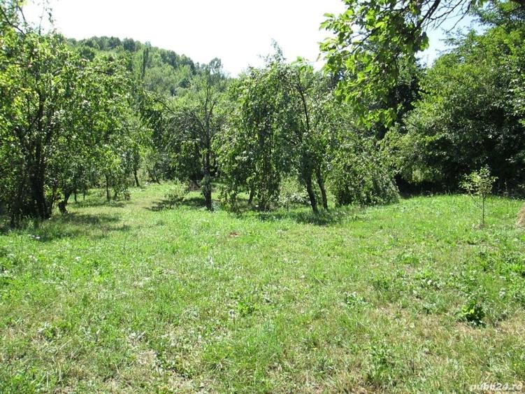 Teren de 4000 mp, în Drăgăneasa