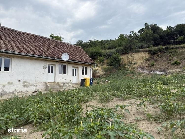 Casa 60 mp/Teren 1120 mp OCNA Sibiului Intravilan - 3
