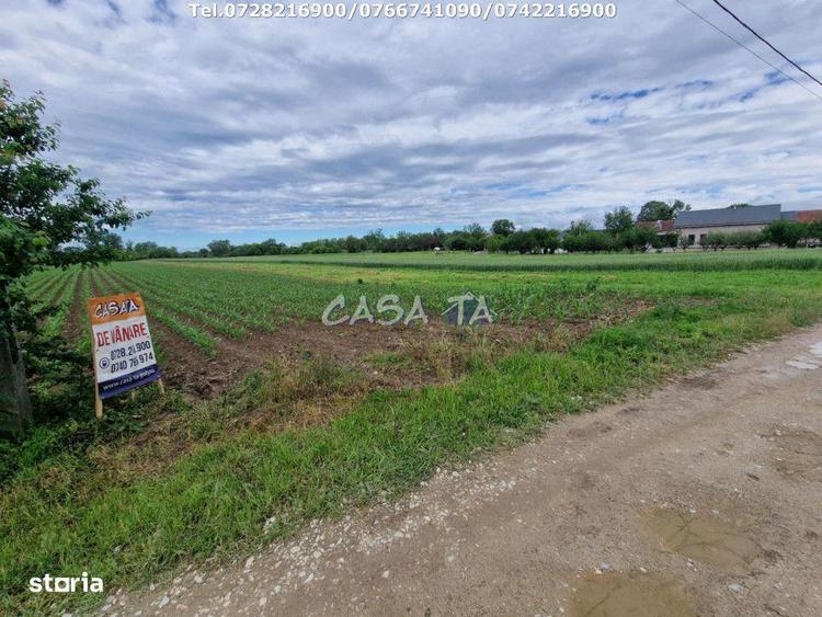 Teren de 7500 mp, în Bălești