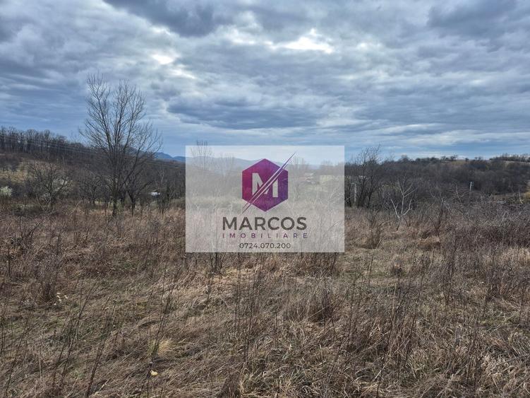 Teren agricol extravilan de 11400 mp, în Iabalcea