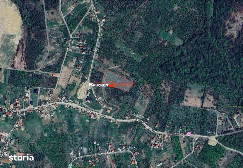 Teren intravilan de vanzare 9.091 mp | Front 77 ml | Acces din Gh. D - 3