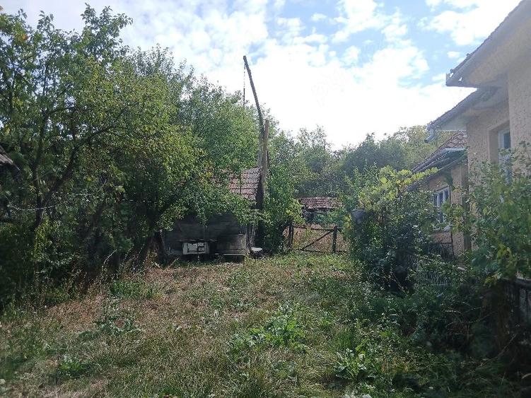 Casă cu 3 camere în Șincai