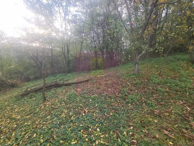 Casă cu 3 camere cu Teren 3410 Mp în Aluniș