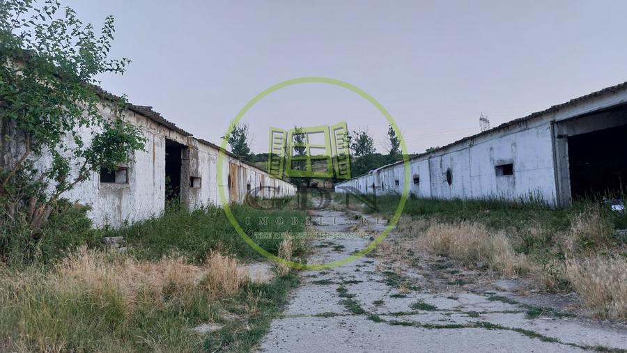 Spațiu industrial, de 7,000 mp, în Pielești