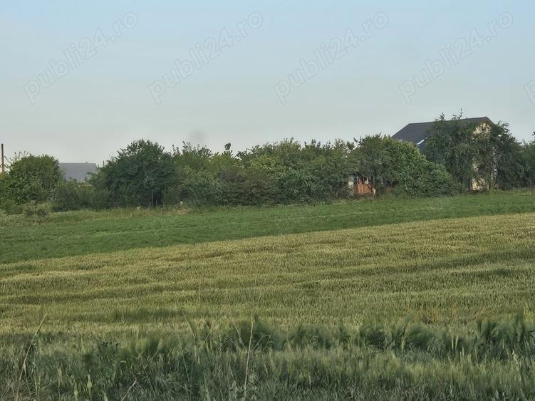 Teren de 11860 mp, în Călugăreni