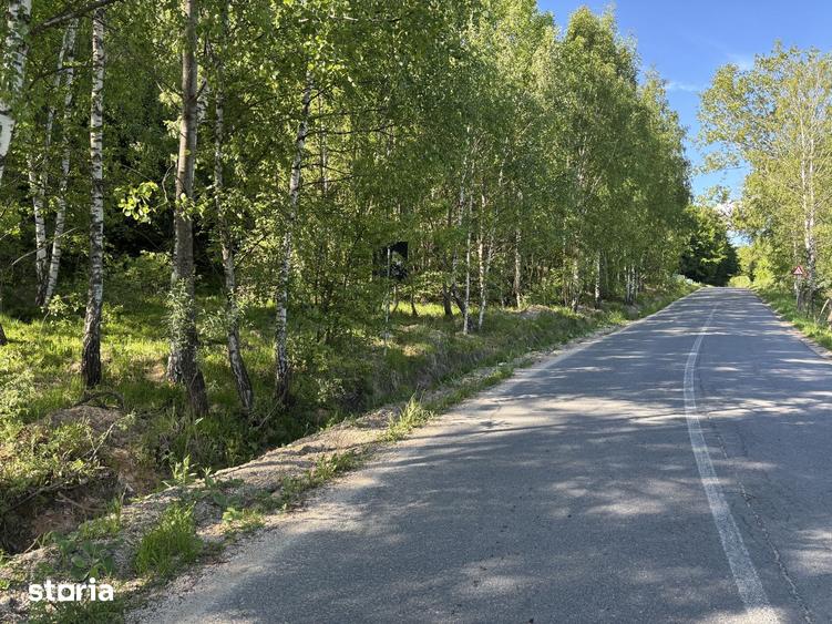 Teren de 2400 mp, în Râșca