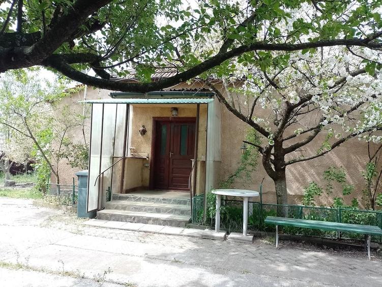 Casă cu Teren 1200 Mp în Bocsig