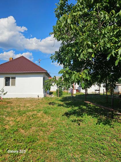 Casa de vanzare Barasti Olt - 8