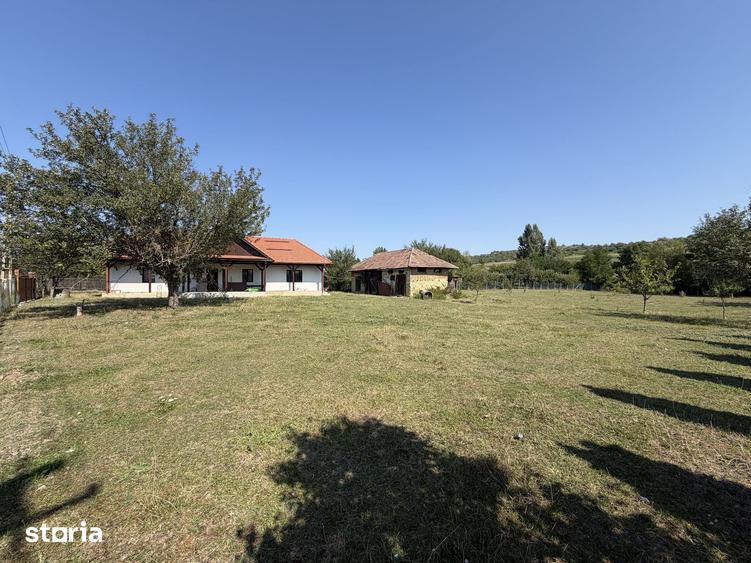 Casă cu 3 camere cu Teren 2900 Mp în Dobrin