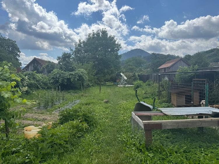 Casă cu 5 camere cu Teren 1690 Mp în Turcheș