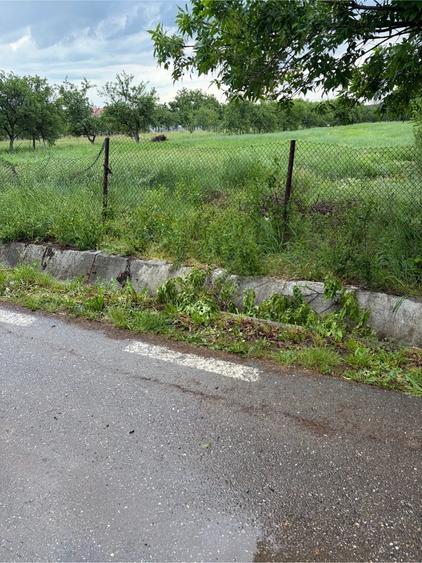 Teren intravilan Husasau de Tinca, Miersig, 1200 mp, la asfalt (25 min de Oradea) - 5