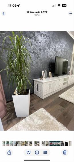 Apartament cu 3 camere decomandat în Exterior Vest