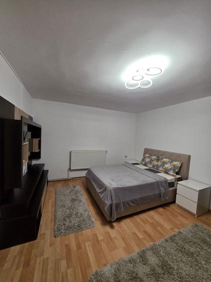 Garsonieră decomandată în Vitan