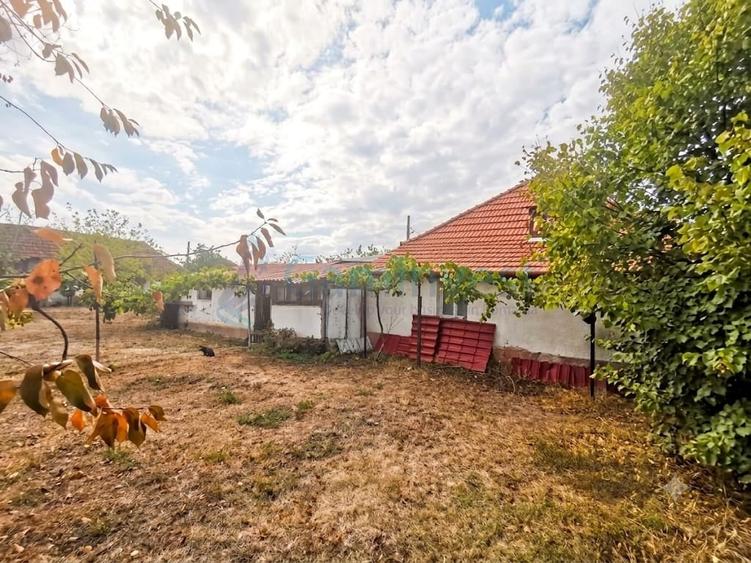Casă individuală cu 3 camere cu Canalizare în Tileagd