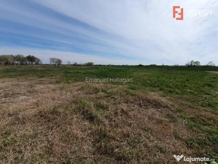 Teren intravilan, suprafata de 504 mp, cartier nou, in Utvin - Utvin (Timis)