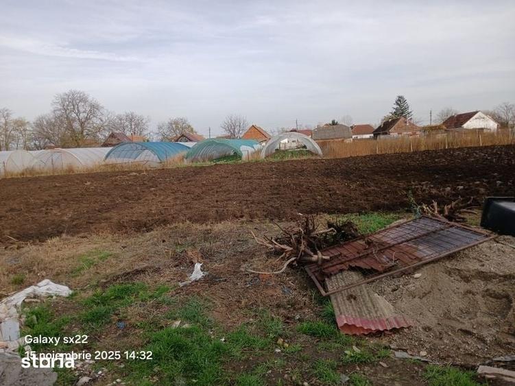Casă cu 1 camere cu Teren 50 Mp în Tomnatic