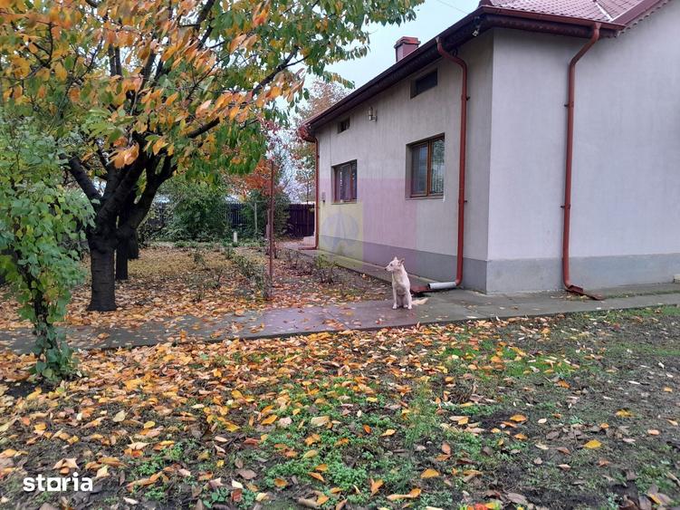 ILFOV - SE VINDE CASA IN ISLAZ / COM. BRANESTI - 16