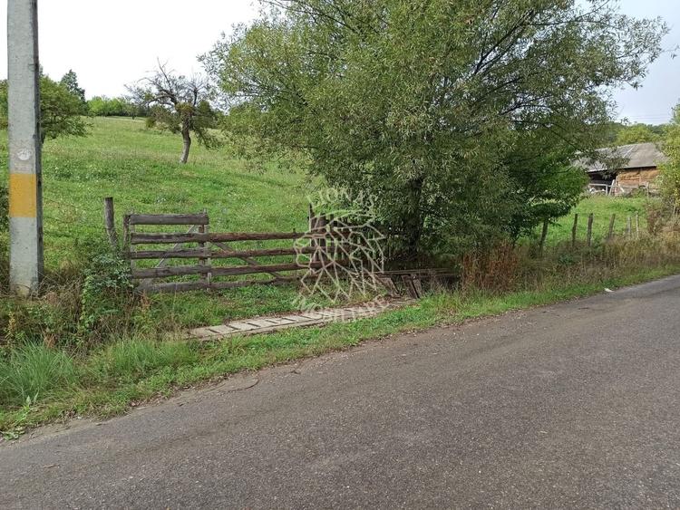 Teren Construcții intravilan de 12600 mp, în Livezile