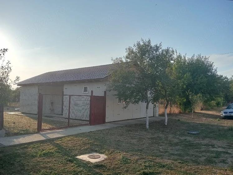Vind casa la Hodoni, Jud Timi?,17km de Timi?oara - 2