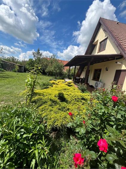 Casa de vanzare - 8