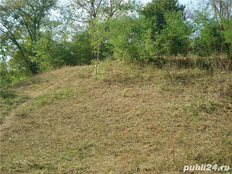Teren de 1556 mp, în Călimănești