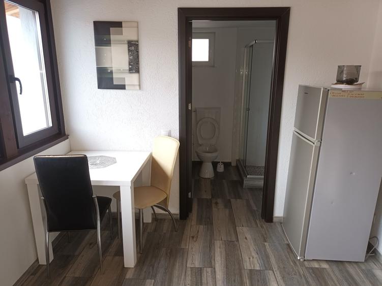 Apartament cu 2 camere decomandat în Crinț