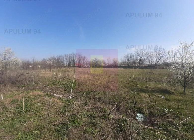 Teren de 4800 mp, în Glina