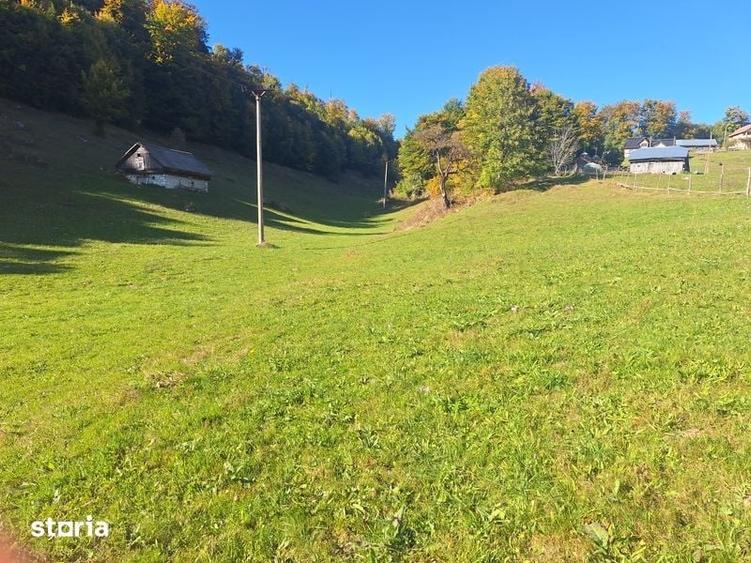 Teren de 16000 mp, în Dâmbovicioara