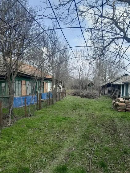 Teren de 5000 mp, în Albeni