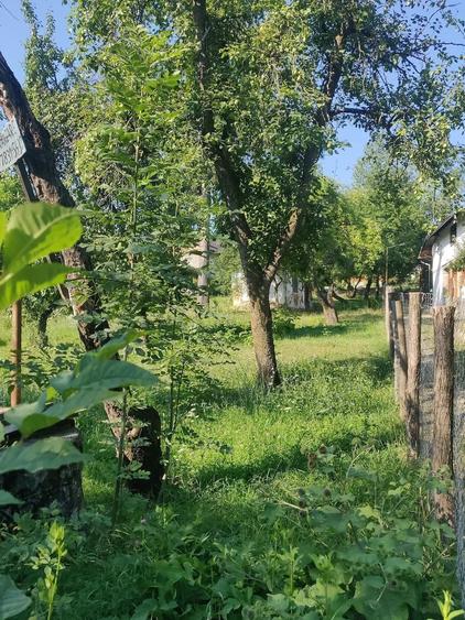Teren de 600 mp, în Central