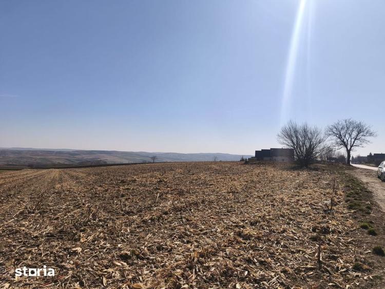 Teren de 6500 mp, în Grănicești