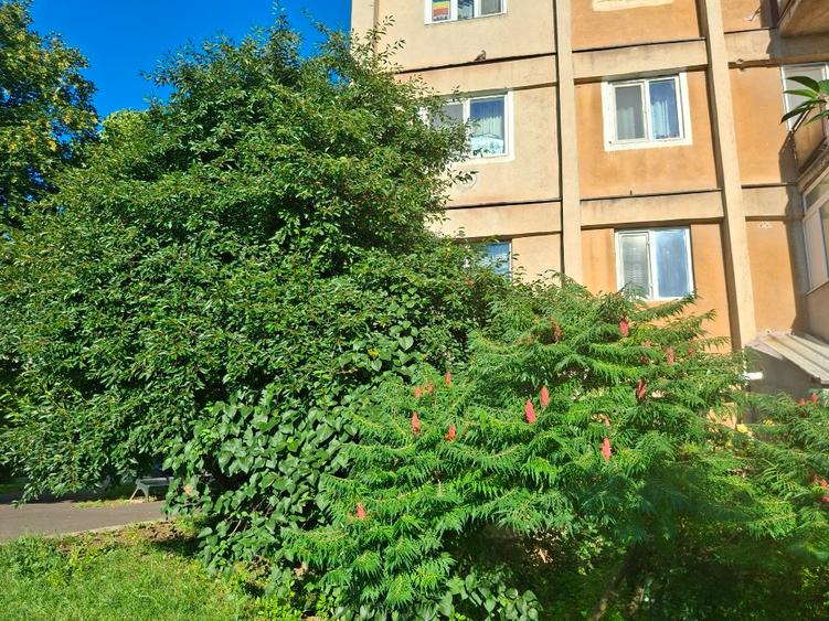 Vând apartament 2 camere parter - 3